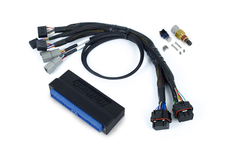 Haltech adaptor harness for R32