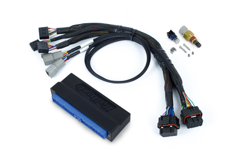 Haltech adaptor harness for Patrol