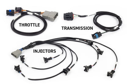 Haltech Rebel LS ECU kit with Gen III terminated engine harness