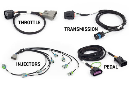 Haltech Rebel LS ECU kit with Gen IV terminated engine harness