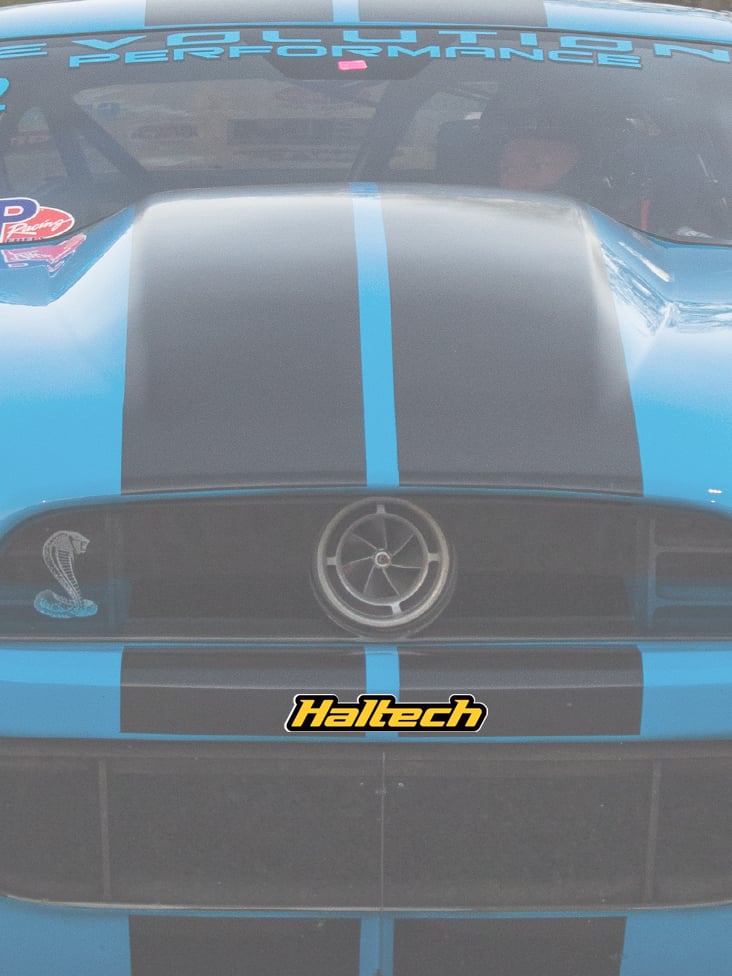Haltech Haltech Sticker 200mm - Colour