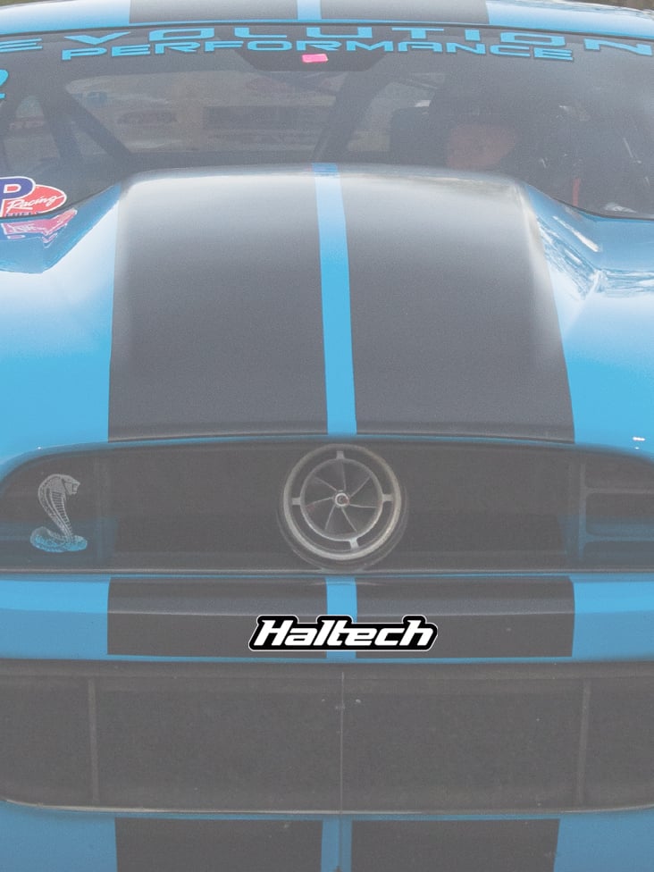 Haltech Haltech Sticker 200mm - Black & White
