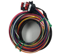 Racepak 580-CA-HARNDRAG primary image