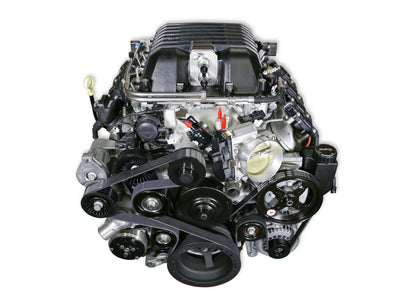 Holley 20-163BK image 5