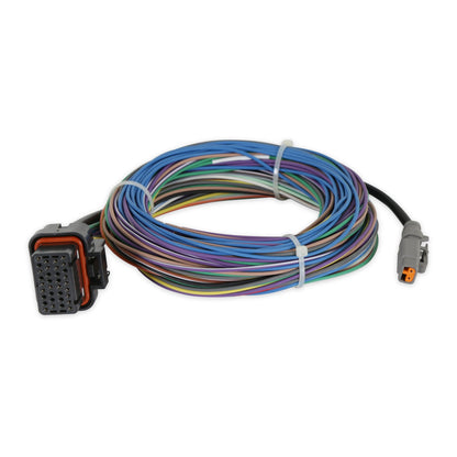 Racepak 250-DS-IQ3S image 8