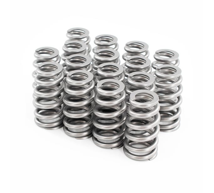 BTR 1515 Valve Spring Set