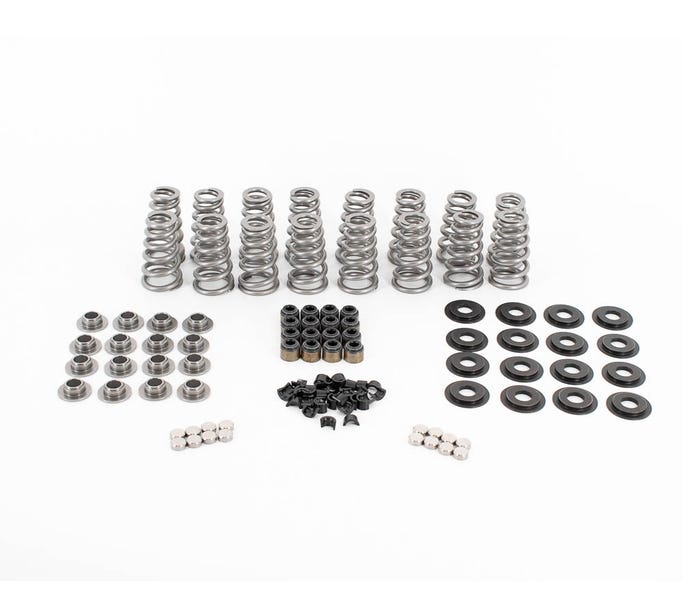 BTR LT1 Conical Valve Spring Kit with Valve Tip Savers - .060" Locators