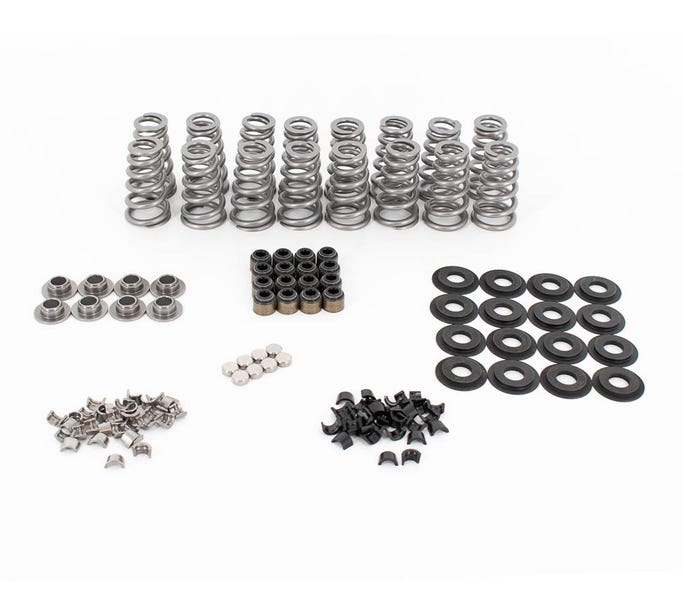 BTR LT4 Conical Spring Kit W/Valve Tip Savers - .650"