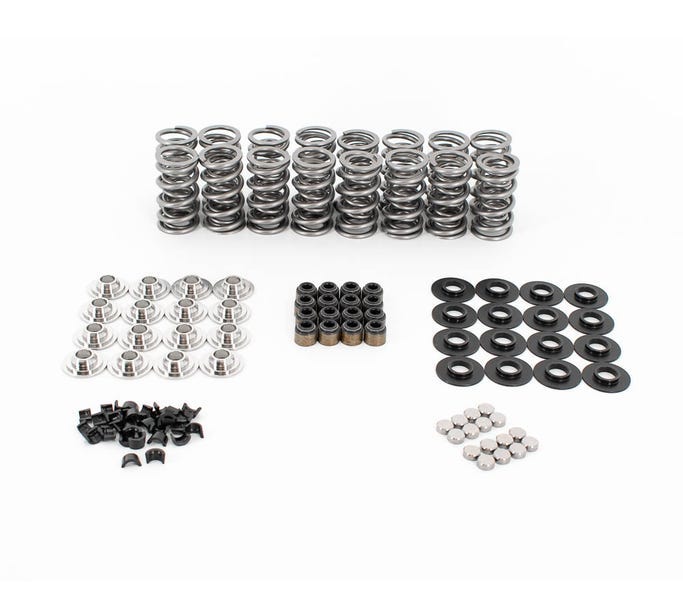 BTR .685" Valve Spring Kit with Titanium Retainers and Valve Tip Savers - Bronze Guides