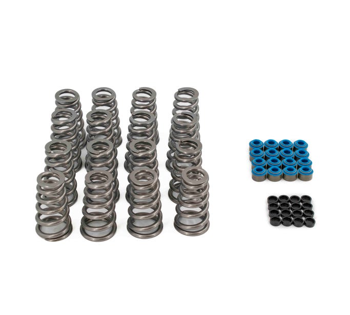 BTR 2009+ 5.7 HEMI .650" Lift Valve Spring Kit with Tip Savers