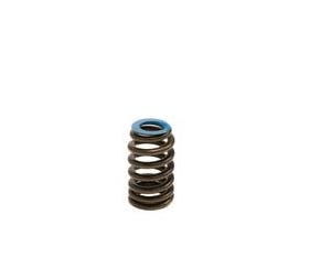 BTR .550" Lift GEN V Single Beehive Valve Spring - Like 12691120