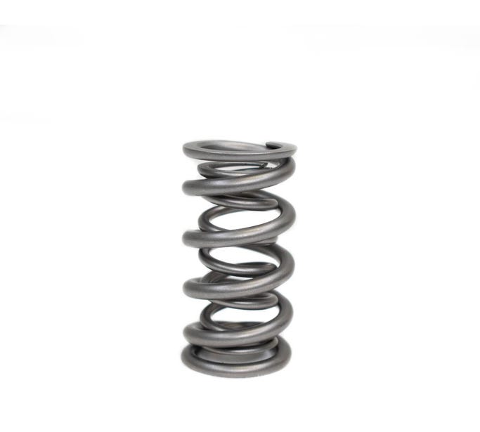 BTR Solid Roller Valve Spring - Sold Individually