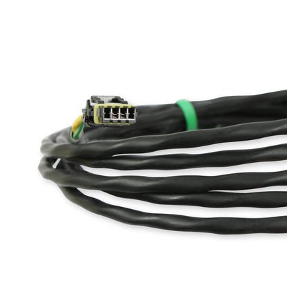 Racepak 280-CA-EFIHOLMX image 3