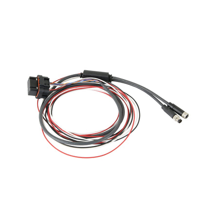 Faisceau de service M8 PRO DASH - Holley EFI Pro Dash M8