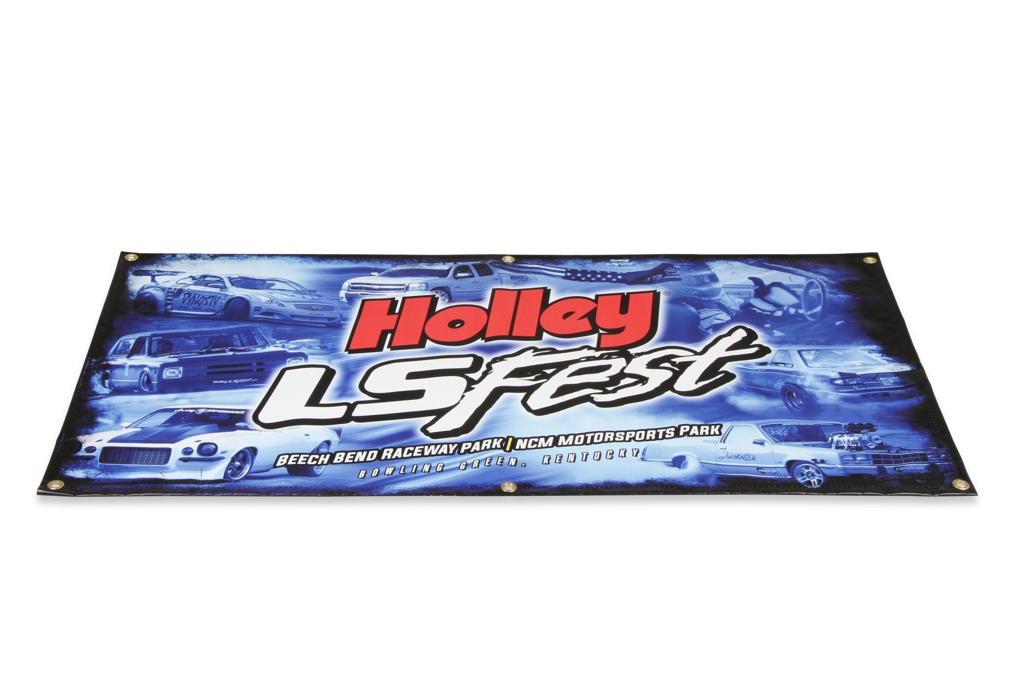 Holley 36-501 image 5