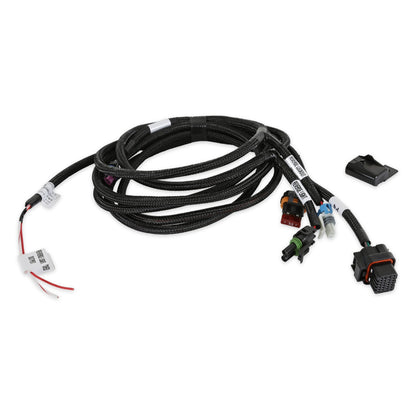 F-BODY T-56 TRANSMISSION HARNESS - Holley EFI Transmission Harness - T-56