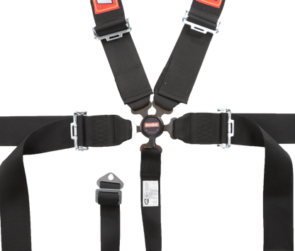 RaceQuip 741001RQP image 2