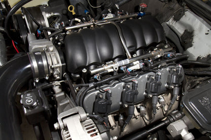 Holley 241-88 image 7