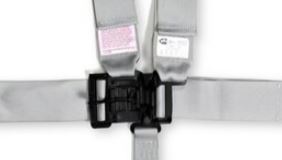 RaceQuip 711061RQP image 2