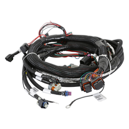 Holley EFI Gen V LT Engine Main Harness