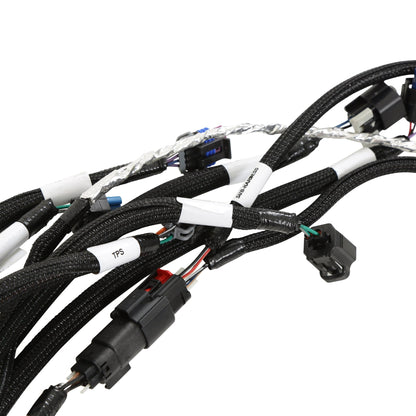 Faisceau principal pour moteur Ford 7.3L Godzilla avec bobines d'origine