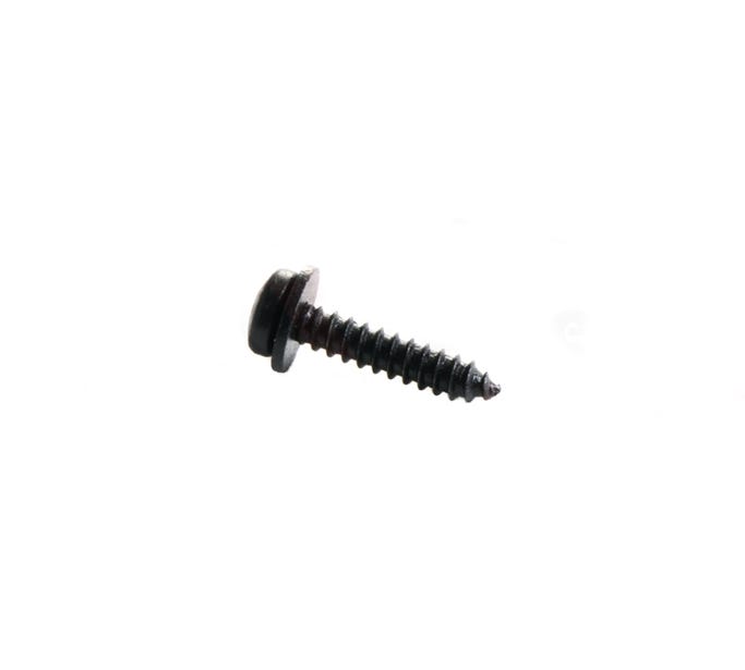 GM Backup Lamp Bolt