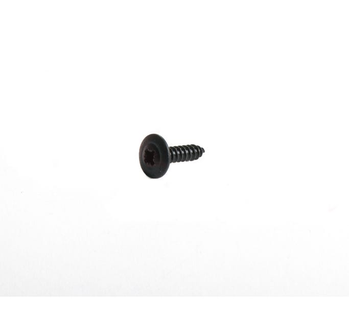 GM Trim Screw