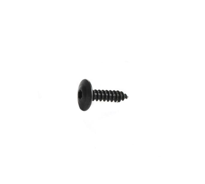 GM Trim Screw