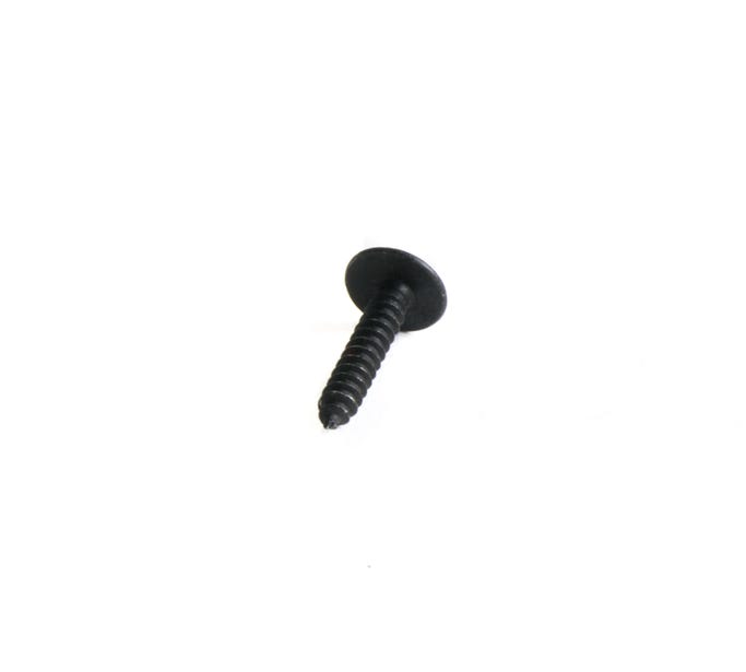 GM Compartment Door Screw