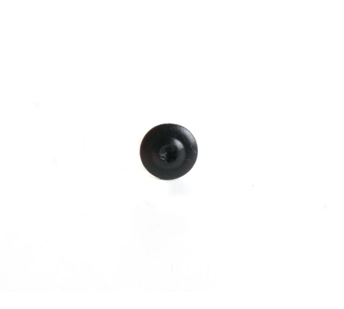 GM Torx Head Screw