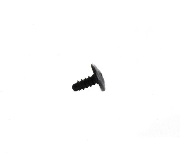GM Trim Screw