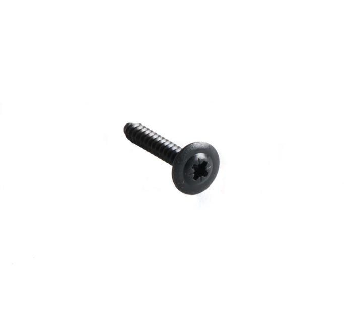GM Door Panel Trim Screw