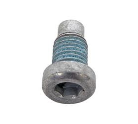 Chevrolet Performance Cylinder Head Coolant Block Off