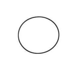 Chevrolet Performance Cam Thrust Plate O-ring Gasket - Fits LSX Block