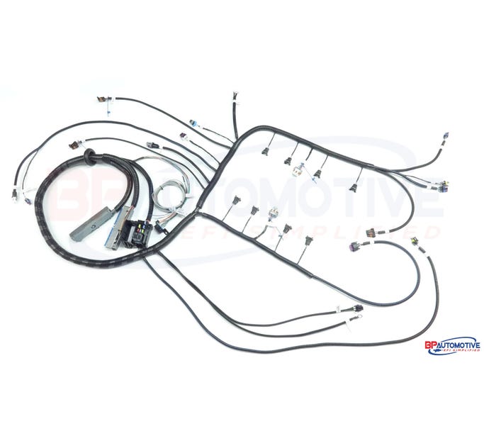 Bp Automotive Standalone Harness - 97-06 LS1 - Dbc - Non-electric Transmission