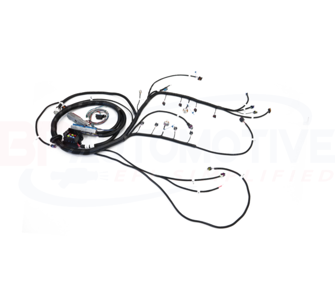 Bp Automotive Standalone Harness - 99-02 LS1 - Dbc Engine Harness - 4L60E