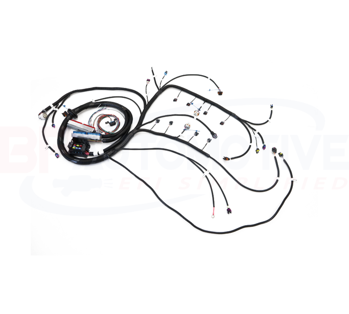 Bp Automotive Standalone Harness - 99-02 Vortec - Dbc - 4L80E