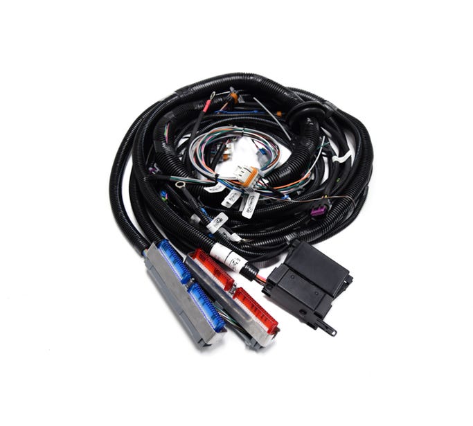 Bp Automotive Standalone Harness - 99-06 LS1/Vortec - Dbc - Non Electric Transmission - Ev6 Injectors