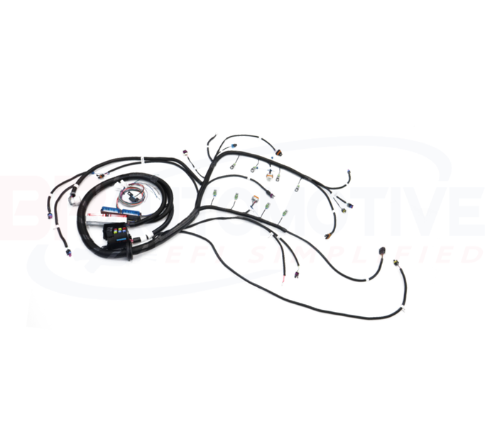 Bp Automotive Standalone Harness - LS1/Vortec - Dbc - Ev6 Injectors - 4L80E - Showstopper Loom