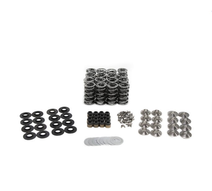 BTR .660" Platinum LT4 Spring Kit with Tip Savers
