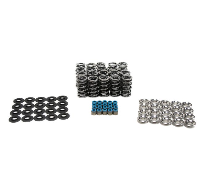 BTR Platinum GEN I Dodge Viper Dual Spring Kit - .660" Lift - Sk010/Vsls (LS Seals)