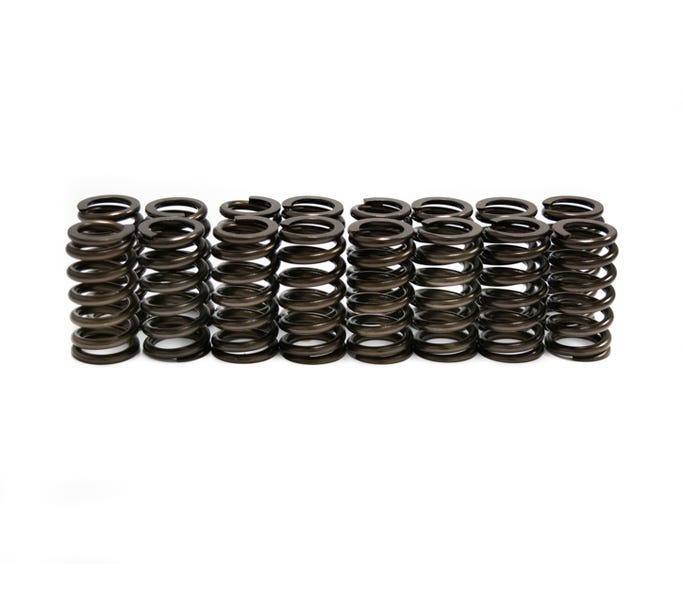 BTR Ford 2V Modular Spring - .550 Lift - 16 Pc Kit