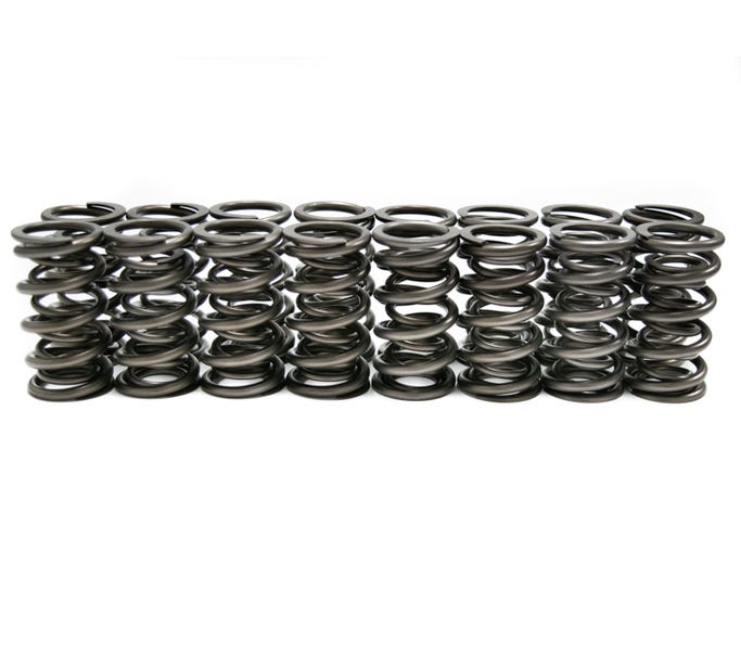 BTR Dual Spring - .685 Lift - 16 Pc Kit