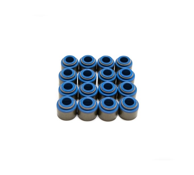BTR GEN V LT Powdered Metal Valve Guide Set of 16