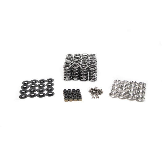 BTR Platinum LS9 Dual Spring Kit - .660" Lift - Sk006