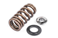 VALVE SPRING KIT, INDIVIDUAL - APR Valve Spring Kit (1 Set)
