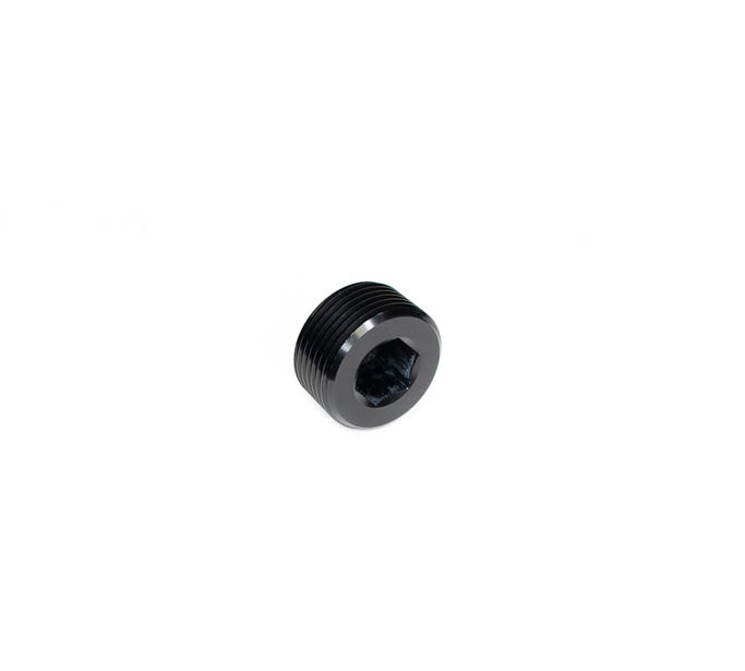 BTR NPT Plug - 1" - Black