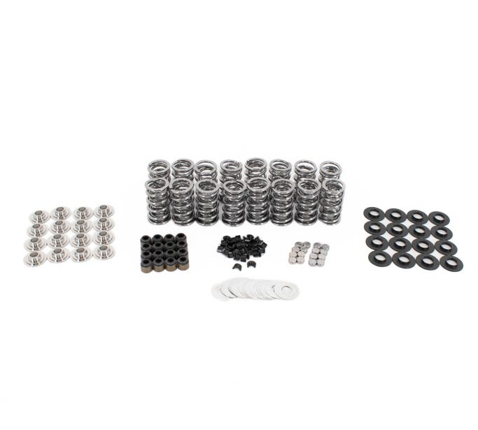 BTR .660" Platinum Spring Kit with Valve Tip Savers - .060" Locators