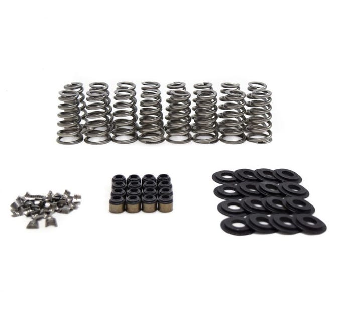 BTR GEN V LT Conical Spring Kit - .650" Lift - for Bronze Valve Guides - .045" Locators