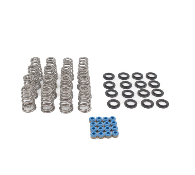 BTR 2009+ 5.7 HEMI .650" Lift Valve Spring Kit